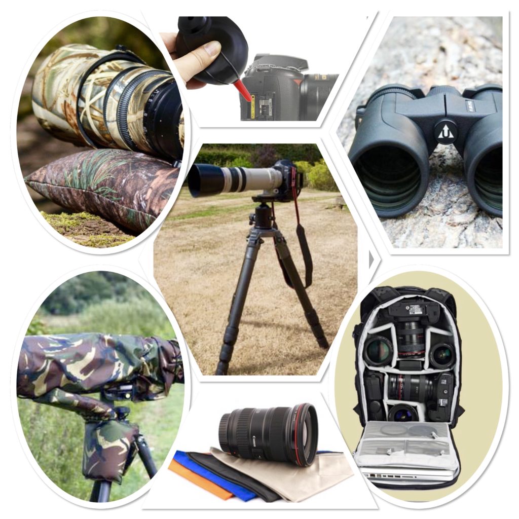 Other equipment essential for wildlife photography