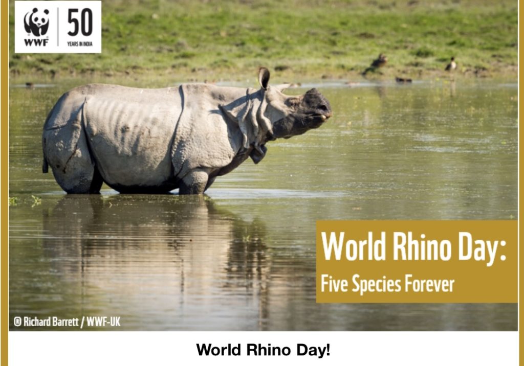 Happy World Rhino Day